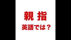 親指の英語