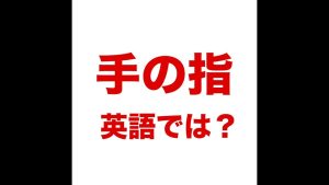 手の指の英語