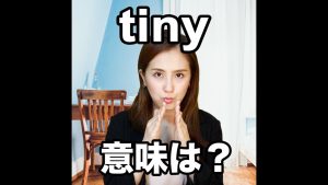 tinyの意味