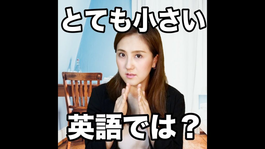とても小さいの英語